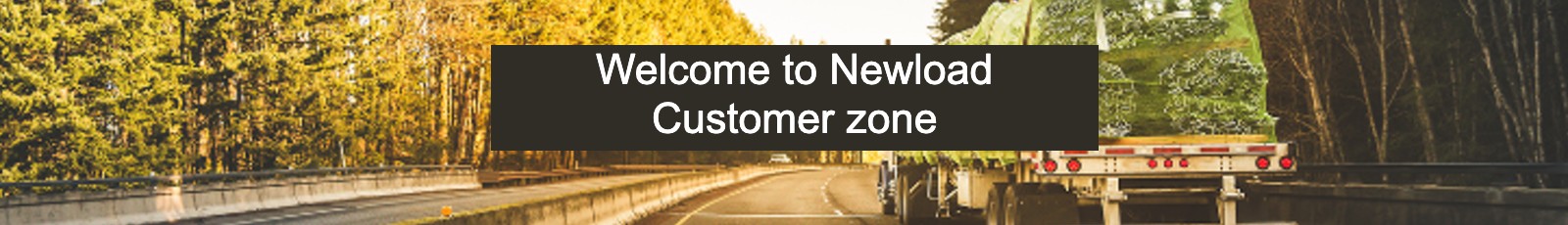 New Load Customer Zone